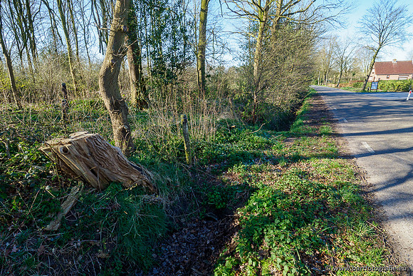 Beken rondom Elspeet 310320-008
