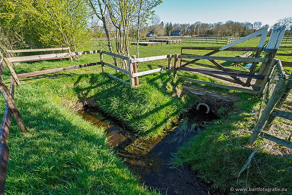 Beken rondom Elspeet 310320-018