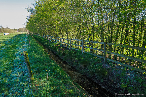 Beken rondom Elspeet 310320-019
