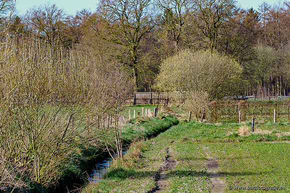 Beken rondom Elspeet 310320-021