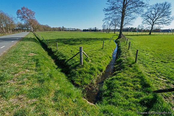 Beken rondom Elspeet 310320-026