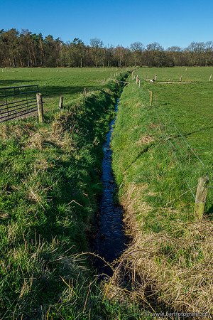 Beken rondom Elspeet 310320-031