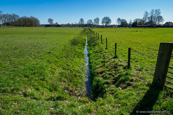 Beken rondom Elspeet 310320-033