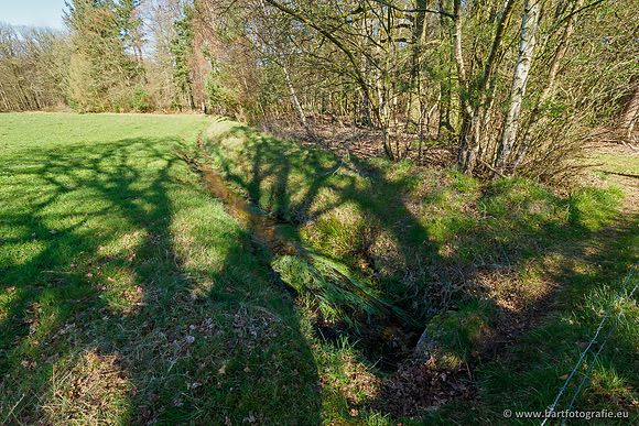 Beken rondom Elspeet 310320-039