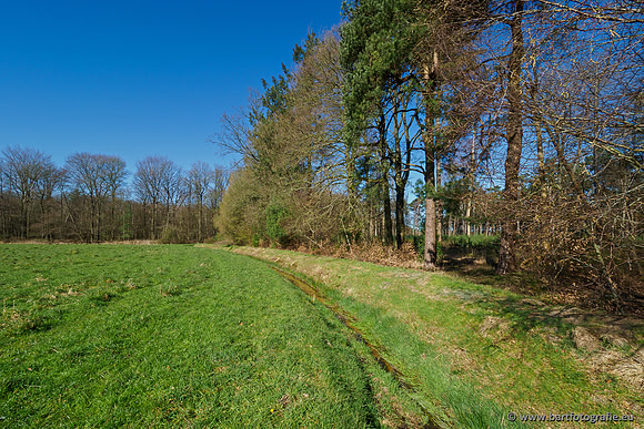 Beken rondom Elspeet 310320-042