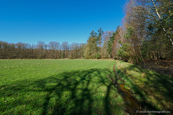 Beken rondom Elspeet 310320-041