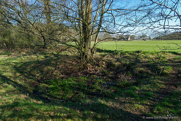 Beken rondom Elspeet 310320-045