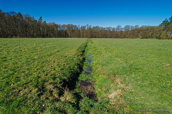 Beken rondom Elspeet 310320-046