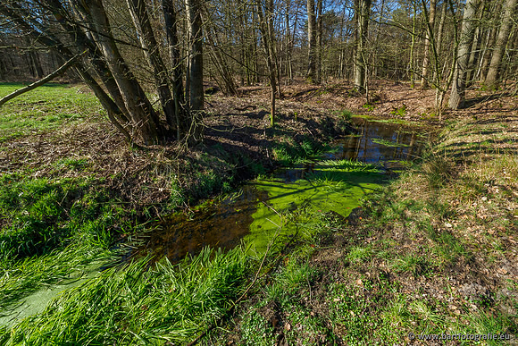Beken rondom Elspeet 310320-048