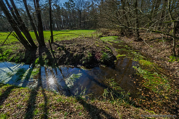Beken rondom Elspeet 310320-051