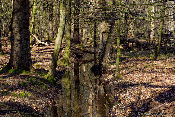 Beken rondom Elspeet 310320-056