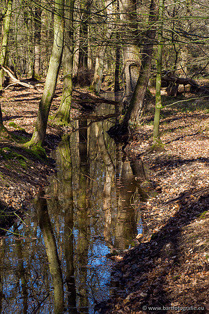 Beken rondom Elspeet 310320-057
