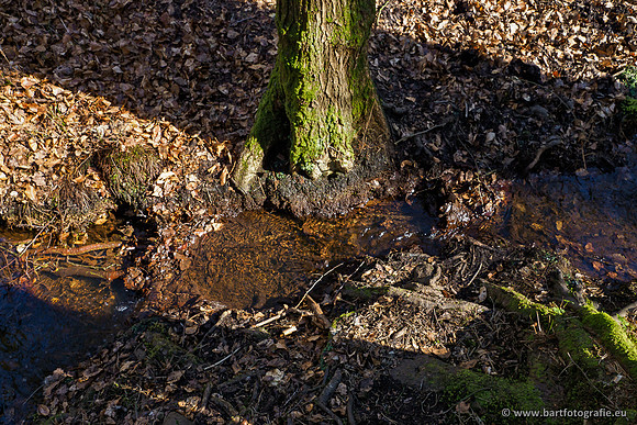 Beken rondom Elspeet 310320-068