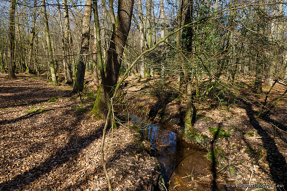 Beken rondom Elspeet 310320-073