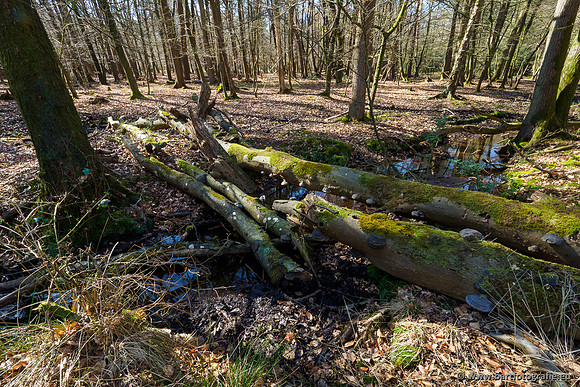 Beken rondom Elspeet 310320-077