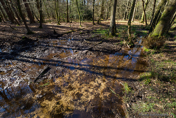Beken rondom Elspeet 310320-081