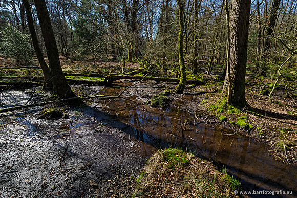 Beken rondom Elspeet 310320-086