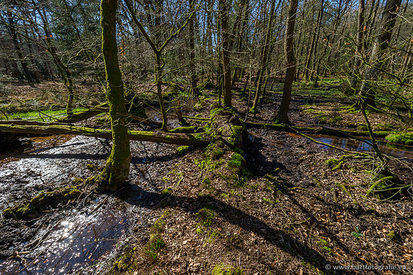 Beken rondom Elspeet 310320-087