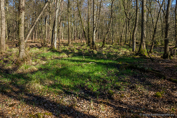 Beken rondom Elspeet 310320-085