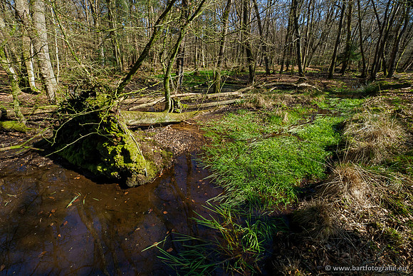 Beken rondom Elspeet 310320-089