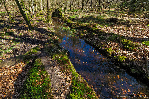 Beken rondom Elspeet 310320-092
