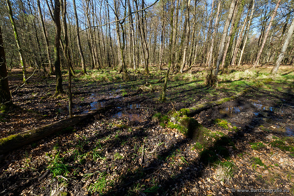 Beken rondom Elspeet 310320-093