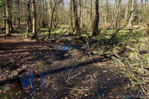 Beken rondom Elspeet 310320-094