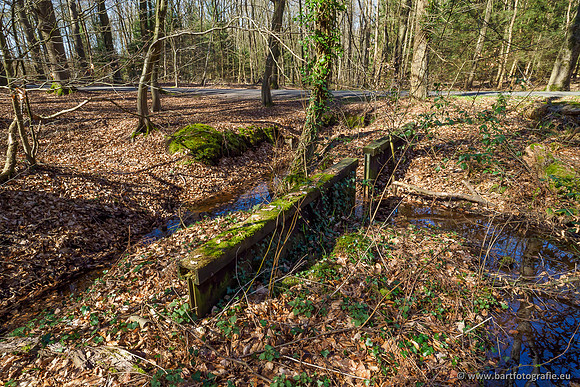 Beken rondom Elspeet 310320-098