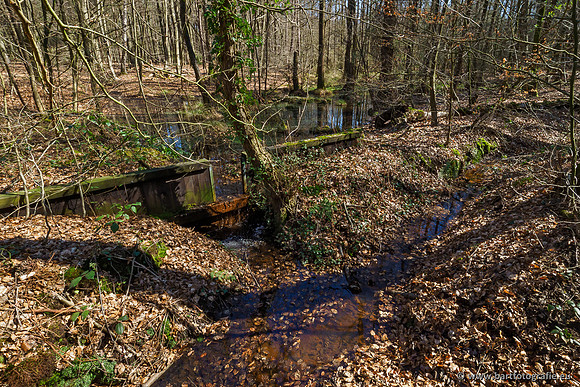 Beken rondom Elspeet 310320-100
