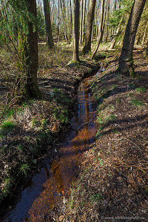Beken rondom Elspeet 310320-110