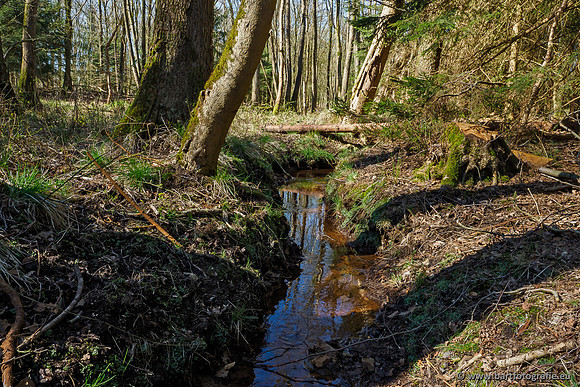 Beken rondom Elspeet 310320-111