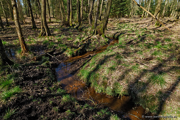 Beken rondom Elspeet 310320-114