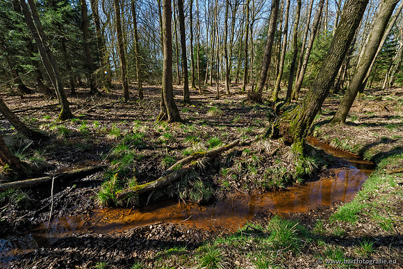 Beken rondom Elspeet 310320-115