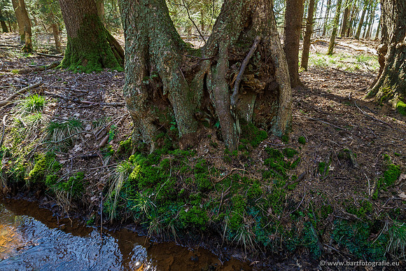 Beken rondom Elspeet 310320-117