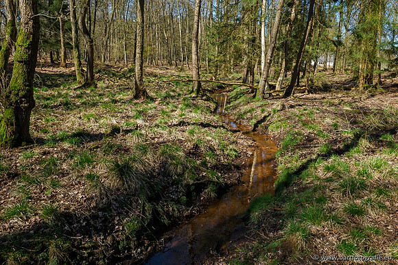 Beken rondom Elspeet 310320-118