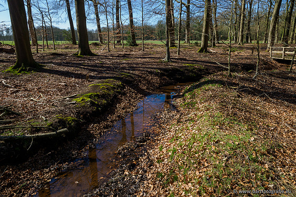 Beken rondom Elspeet 310320-121