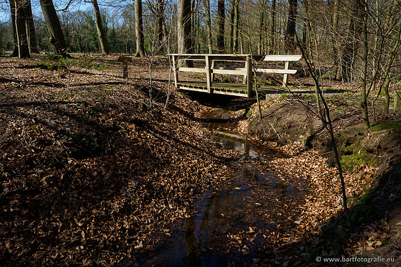 Beken rondom Elspeet 310320-122