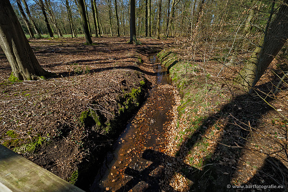 Beken rondom Elspeet 310320-125