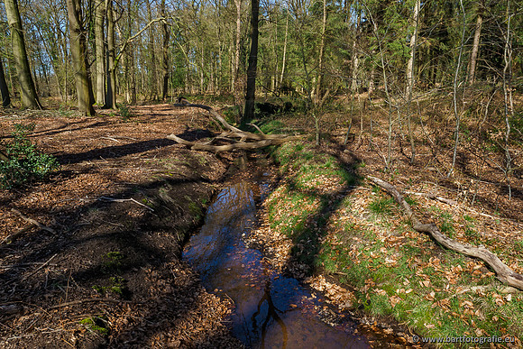 Beken rondom Elspeet 310320-126