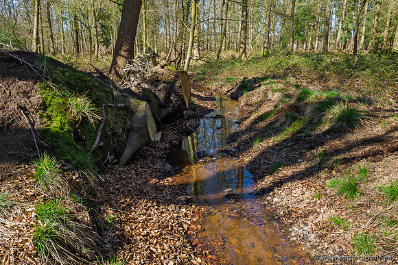 Beken rondom Elspeet 310320-127