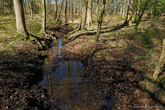 Beken rondom Elspeet 310320-128
