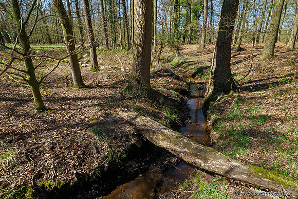 Beken rondom Elspeet 310320-129
