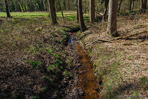 Beken rondom Elspeet 310320-130
