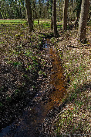 Beken rondom Elspeet 310320-131