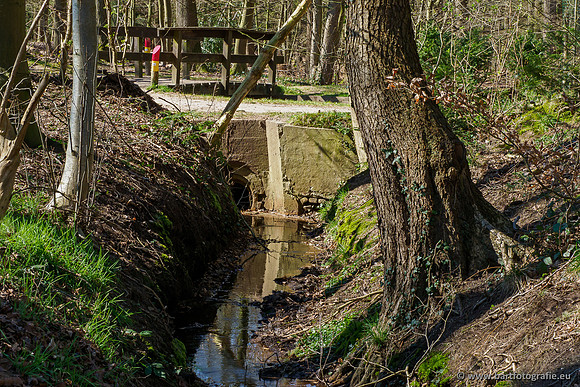 Beken rondom Elspeet 310320-132
