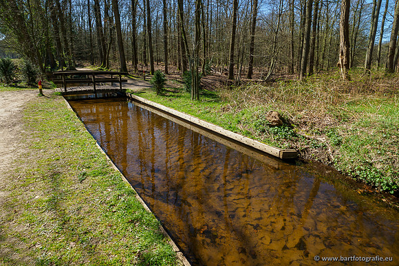 Beken rondom Elspeet 310320-134