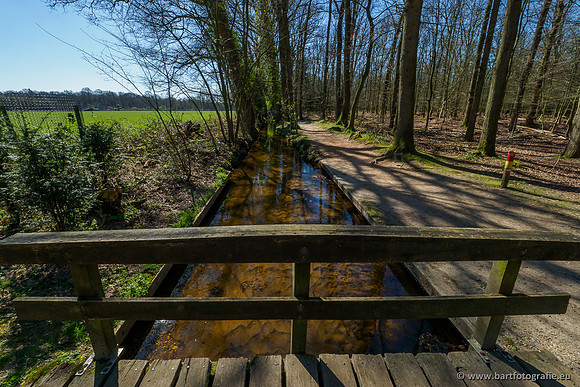 Beken rondom Elspeet 310320-135