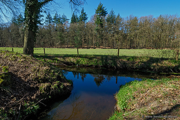 Beken rondom Elspeet 310320-141