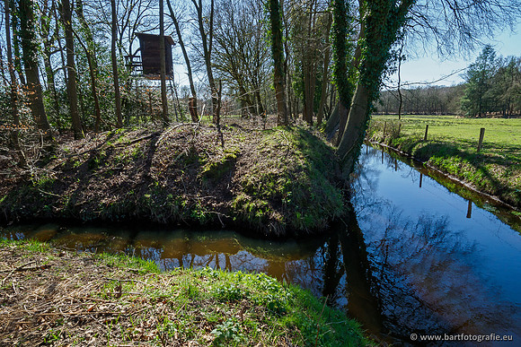 Beken rondom Elspeet 310320-142