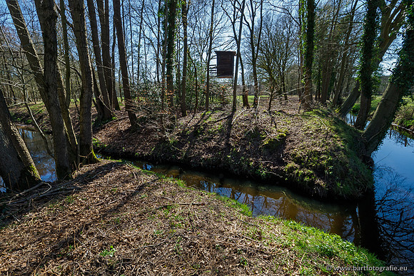 Beken rondom Elspeet 310320-143